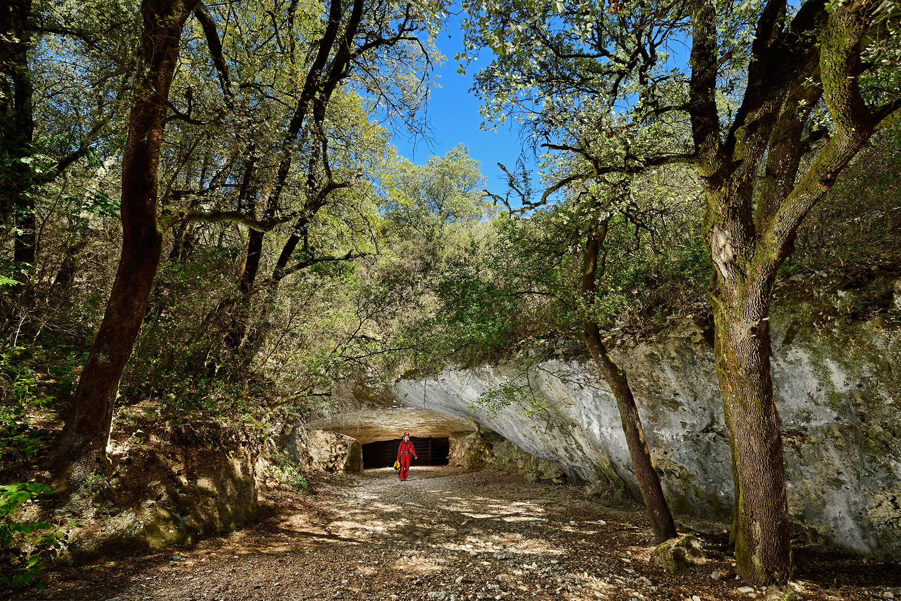 Grotte de Saint-Marcel d'Ardèche - Entrée naturelle